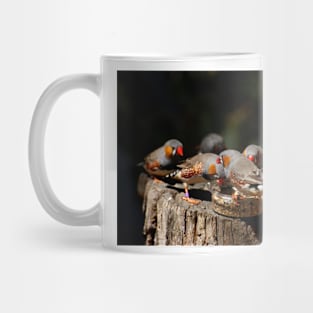 Zebra Finch Feeding Frenzy Mug